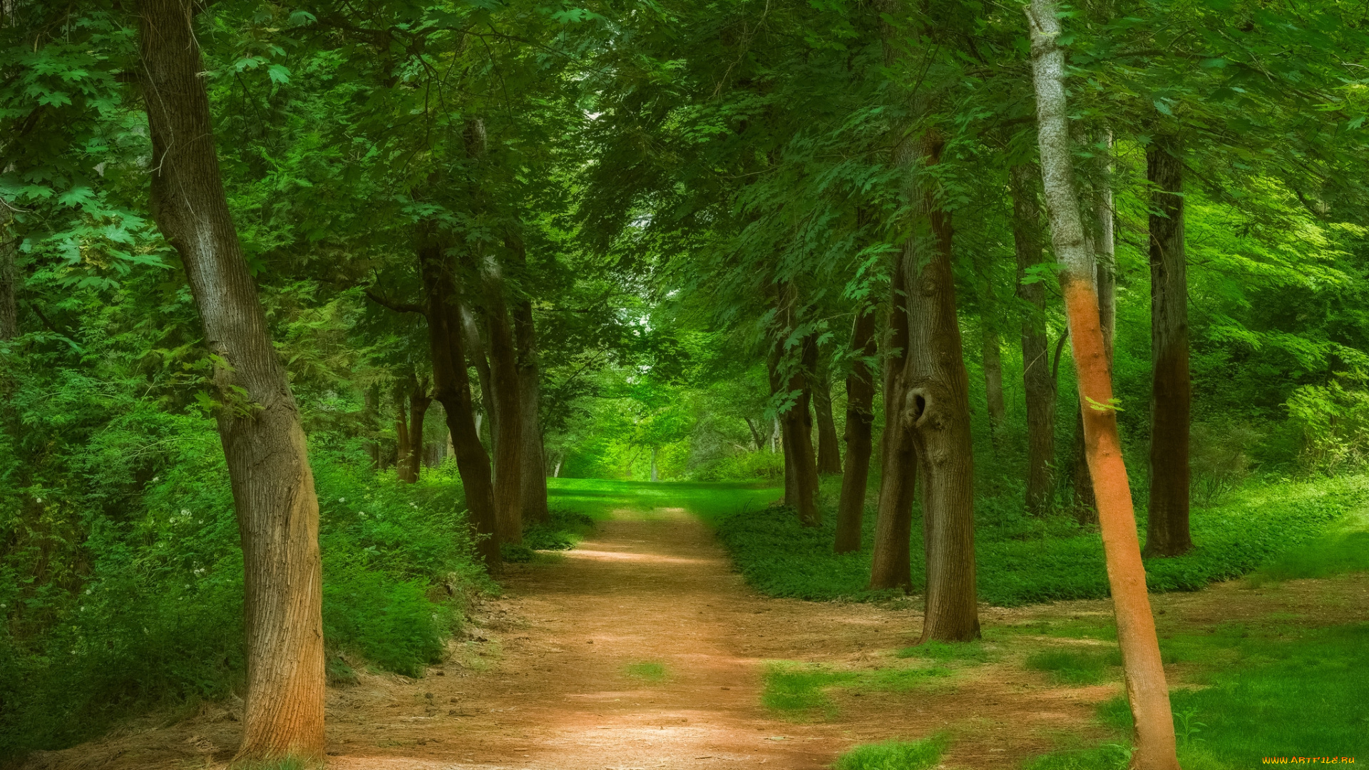 природа, дороги, простор