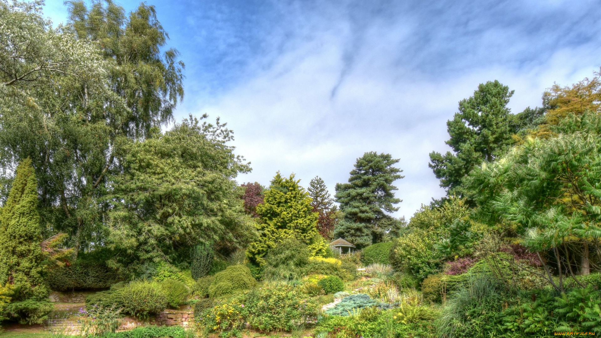 природа, лес, простор