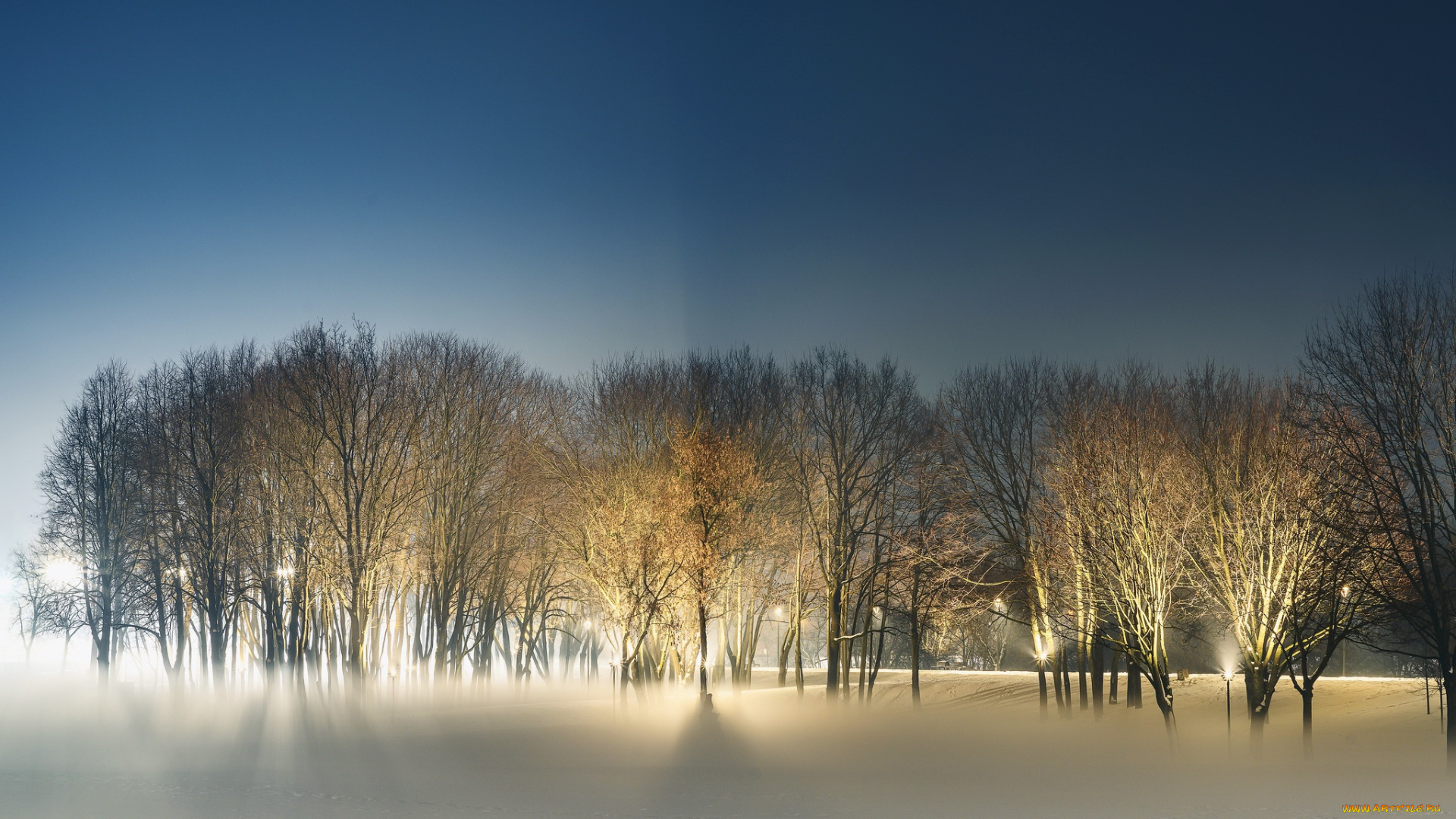 природа, парк, ночь, зима