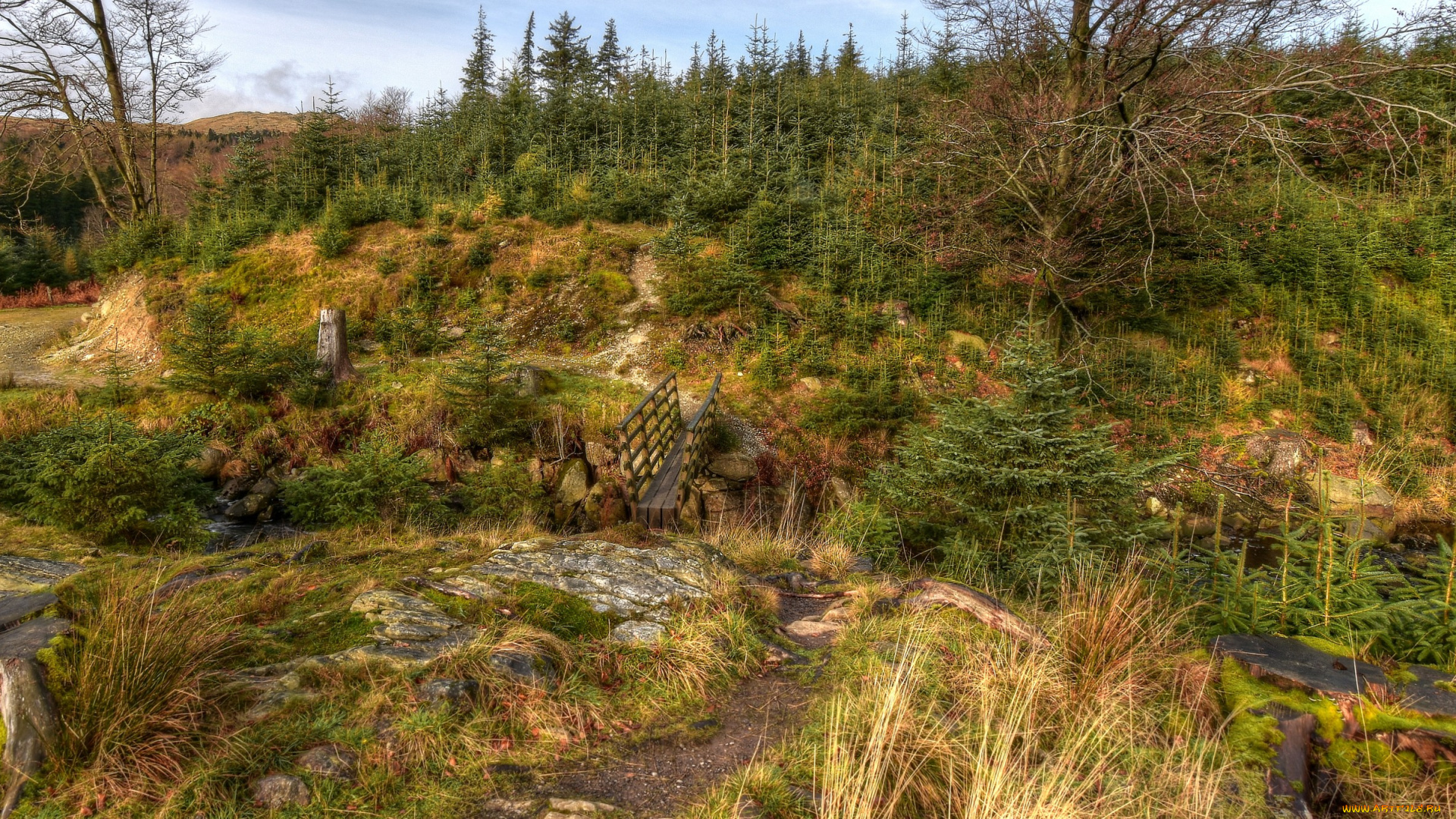 природа, пейзажи, простор