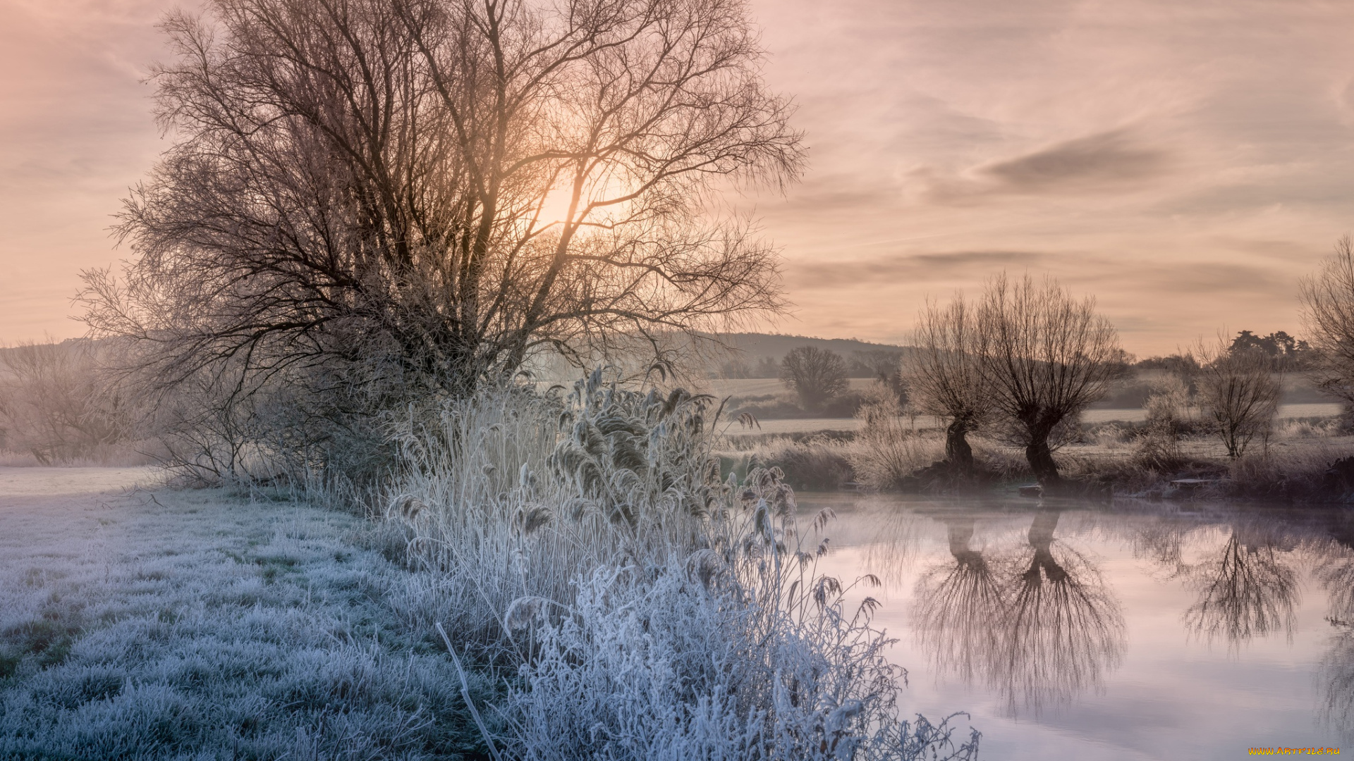 природа, реки, озера, деревья, облака, вода, трава, небо, иней