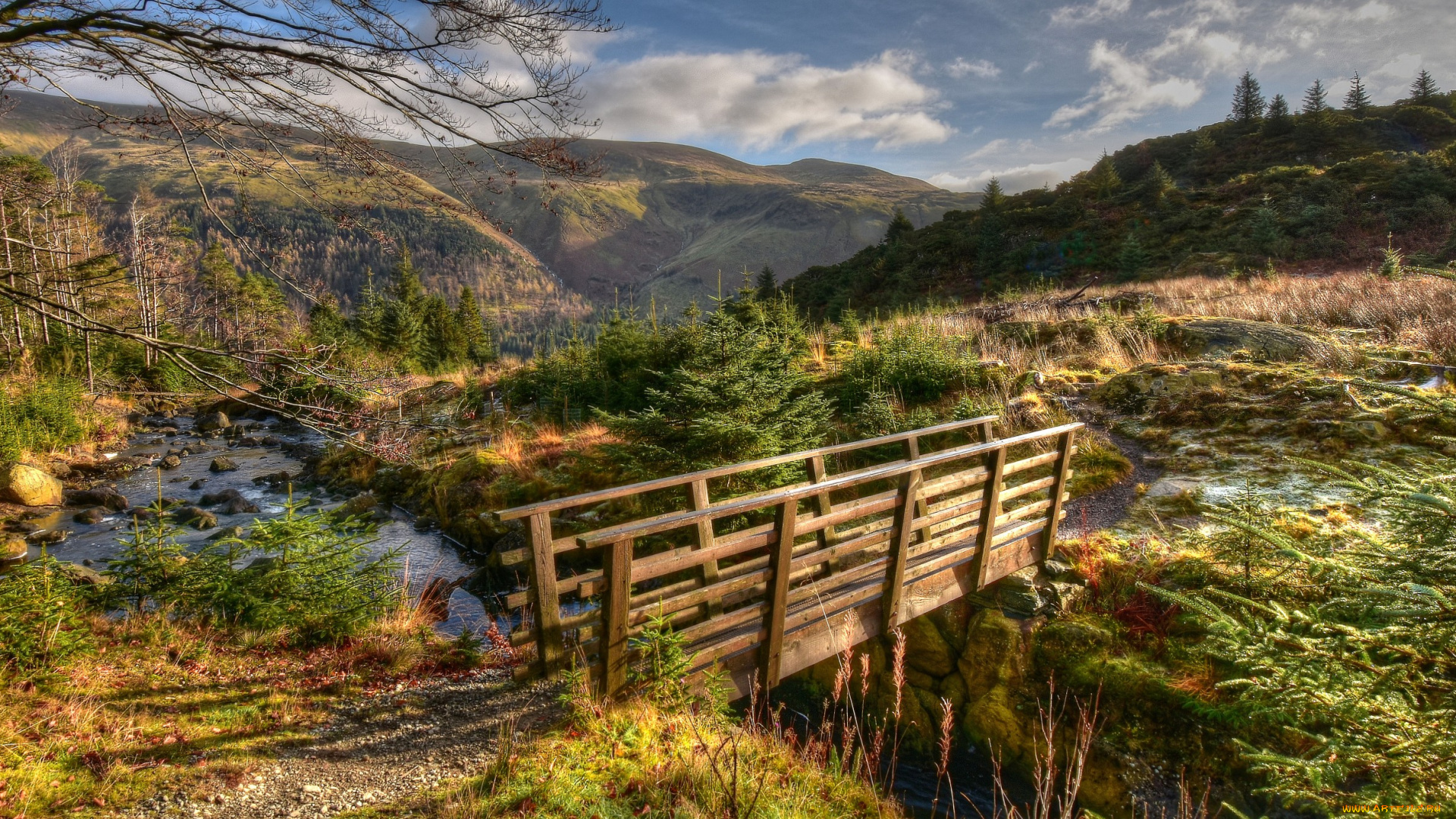 природа, реки, озера, простор