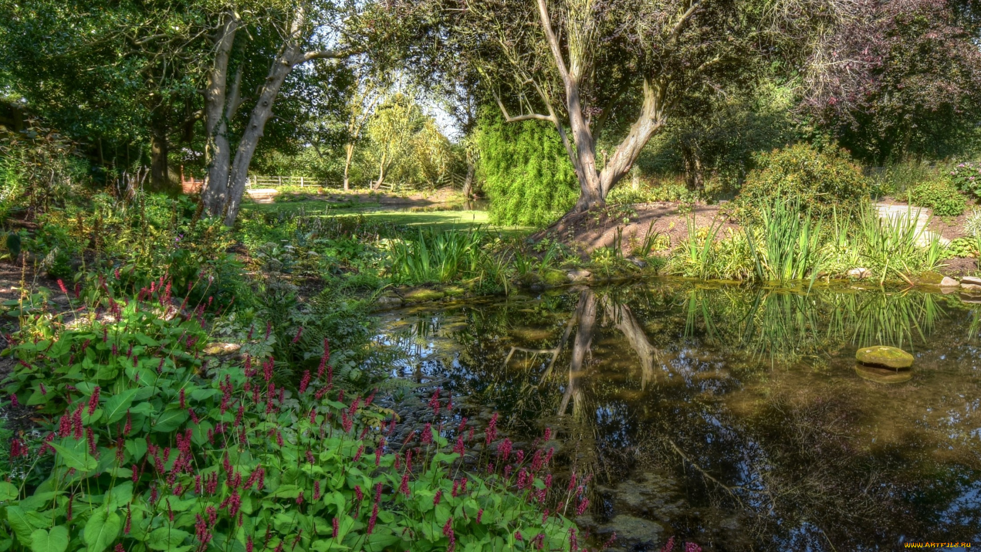 природа, реки, озера, простор