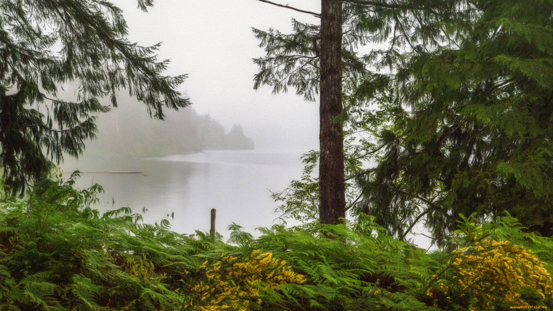 природа, реки, озера, простор