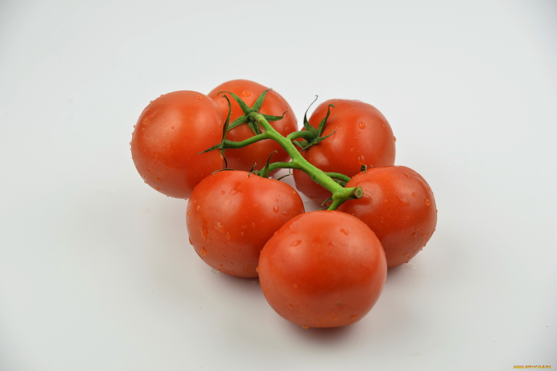 еда, помидоры, овощи, томаты