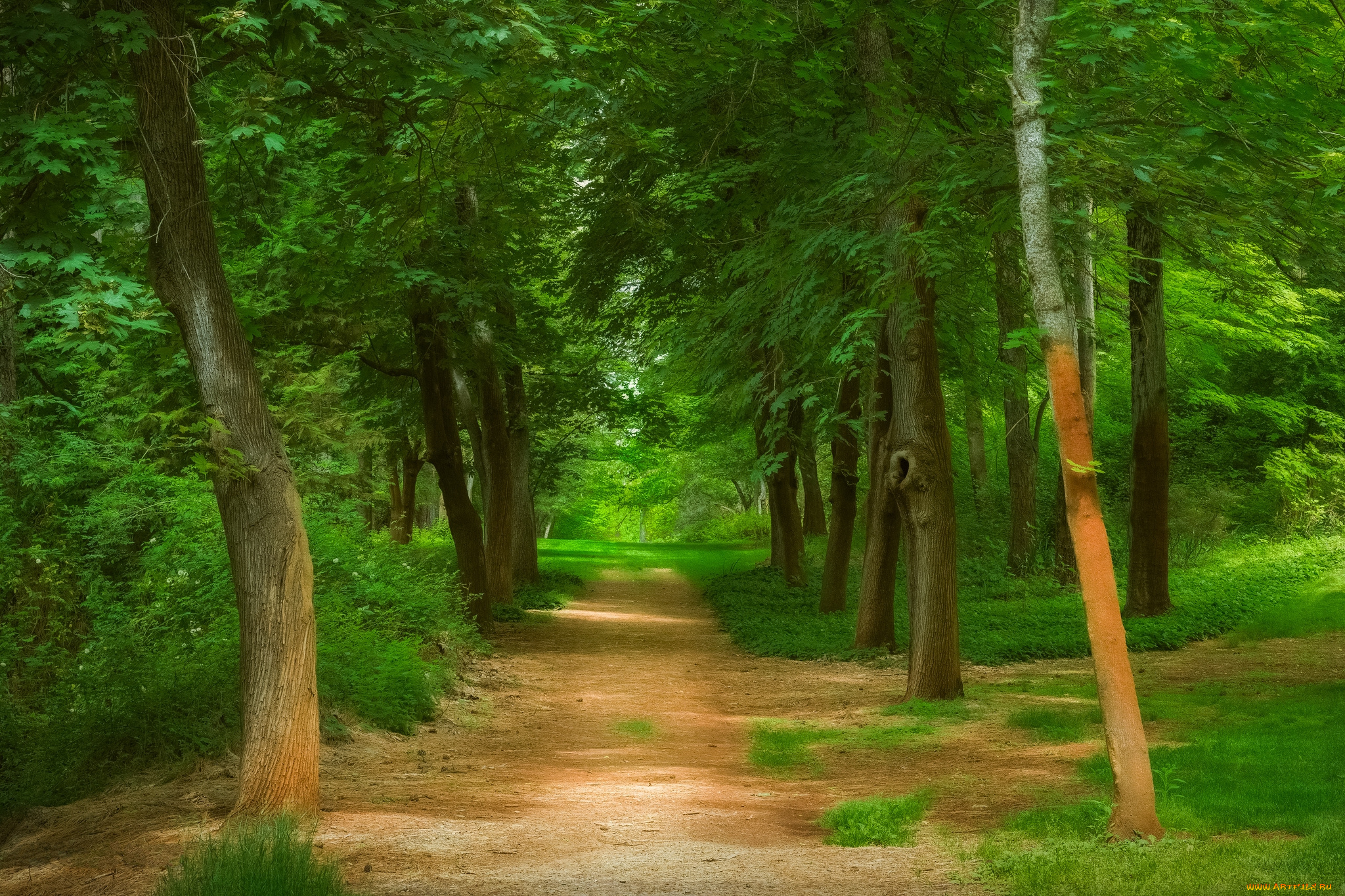 природа, дороги, простор