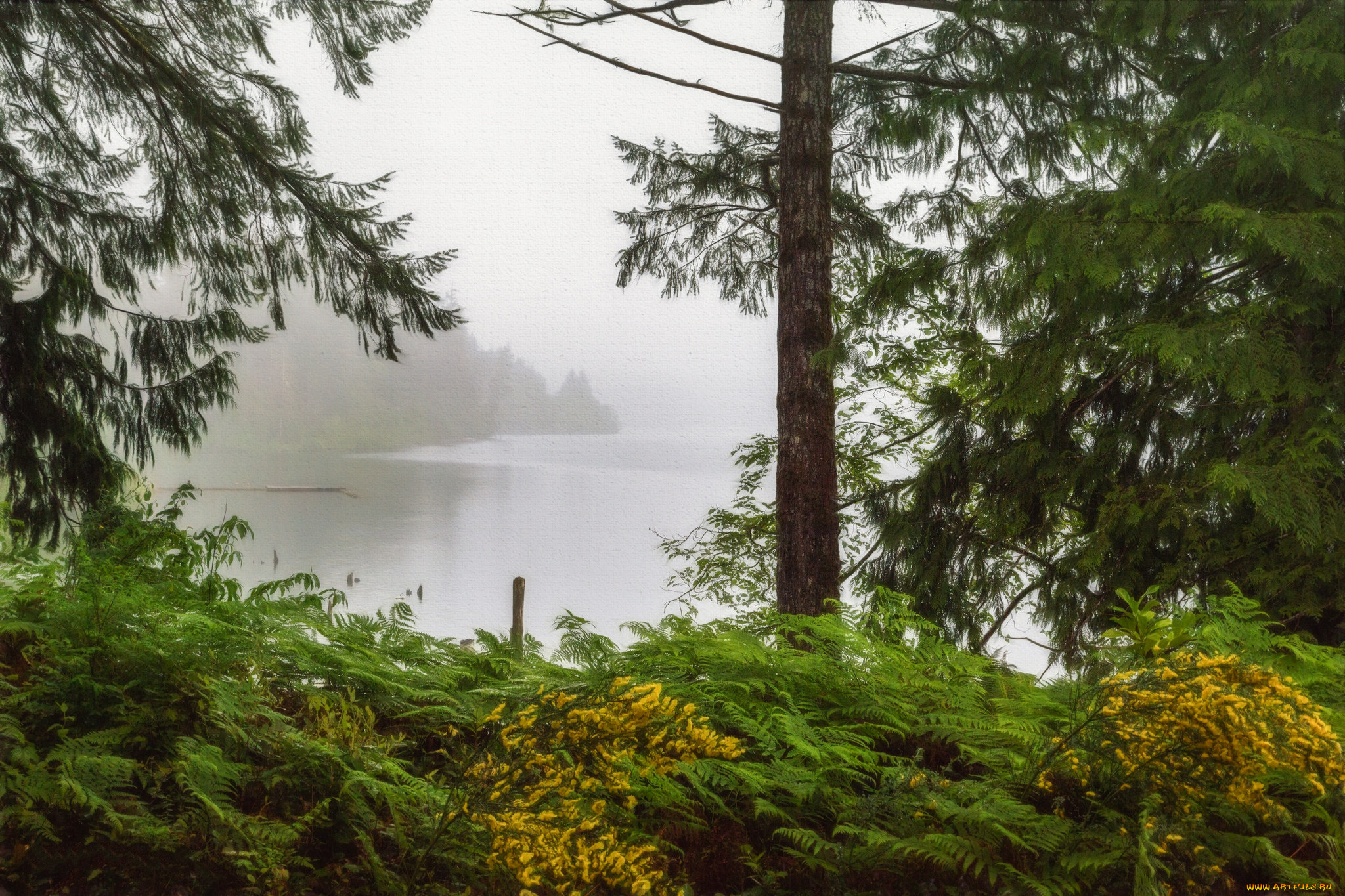 природа, реки, озера, простор