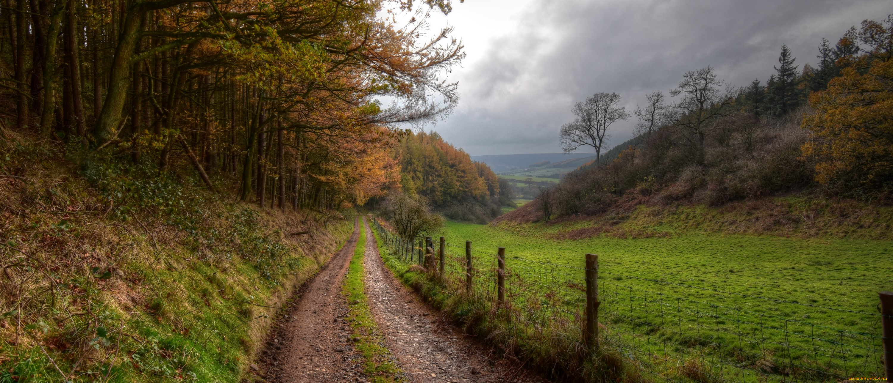природа, дороги, простор