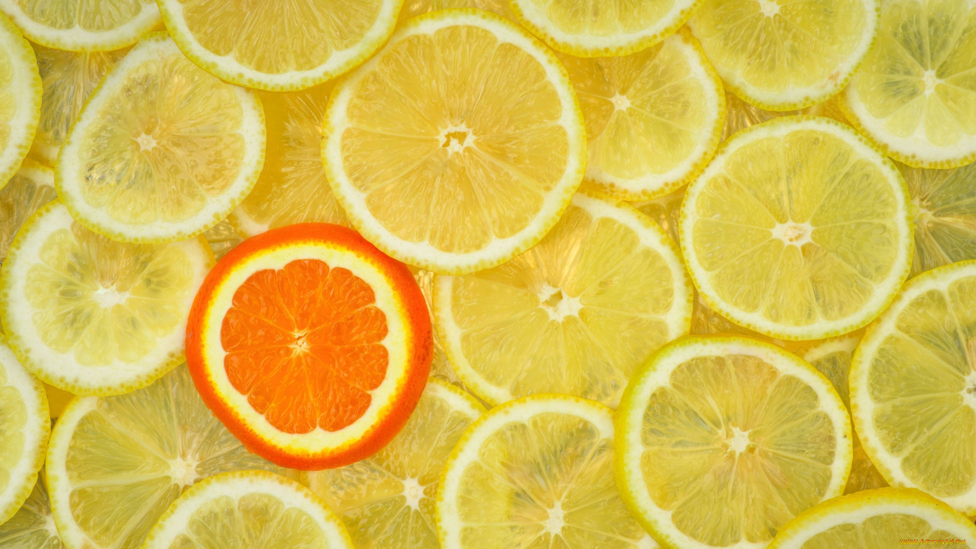 еда, цитрусы, лимоны