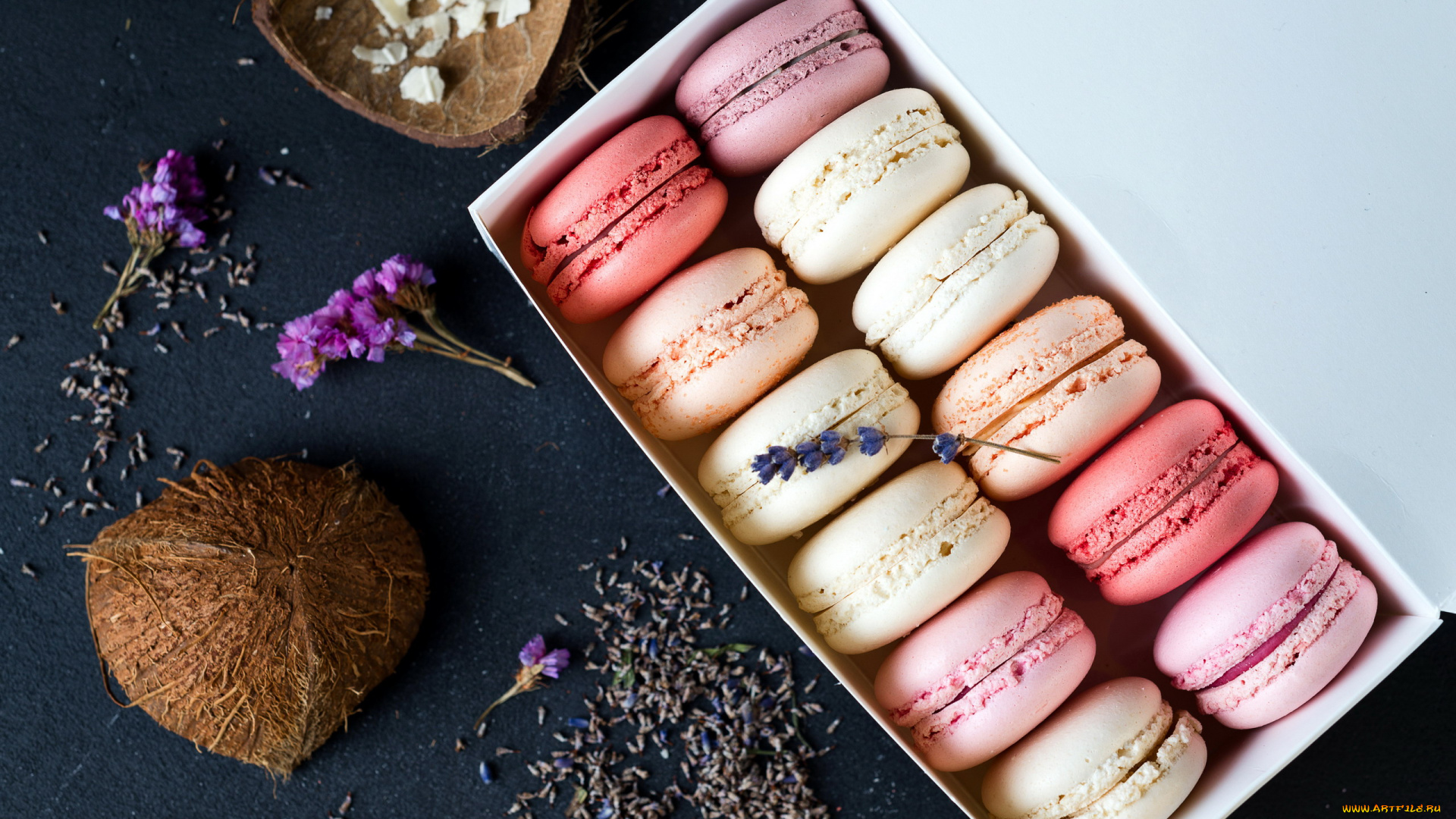 еда, макаруны, печенье, лакомство