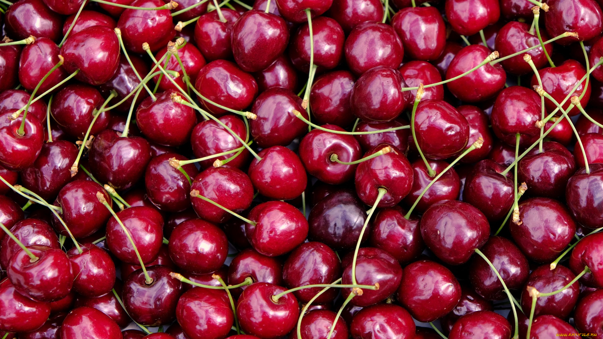 еда, вишня, , черешня, черешня, много
