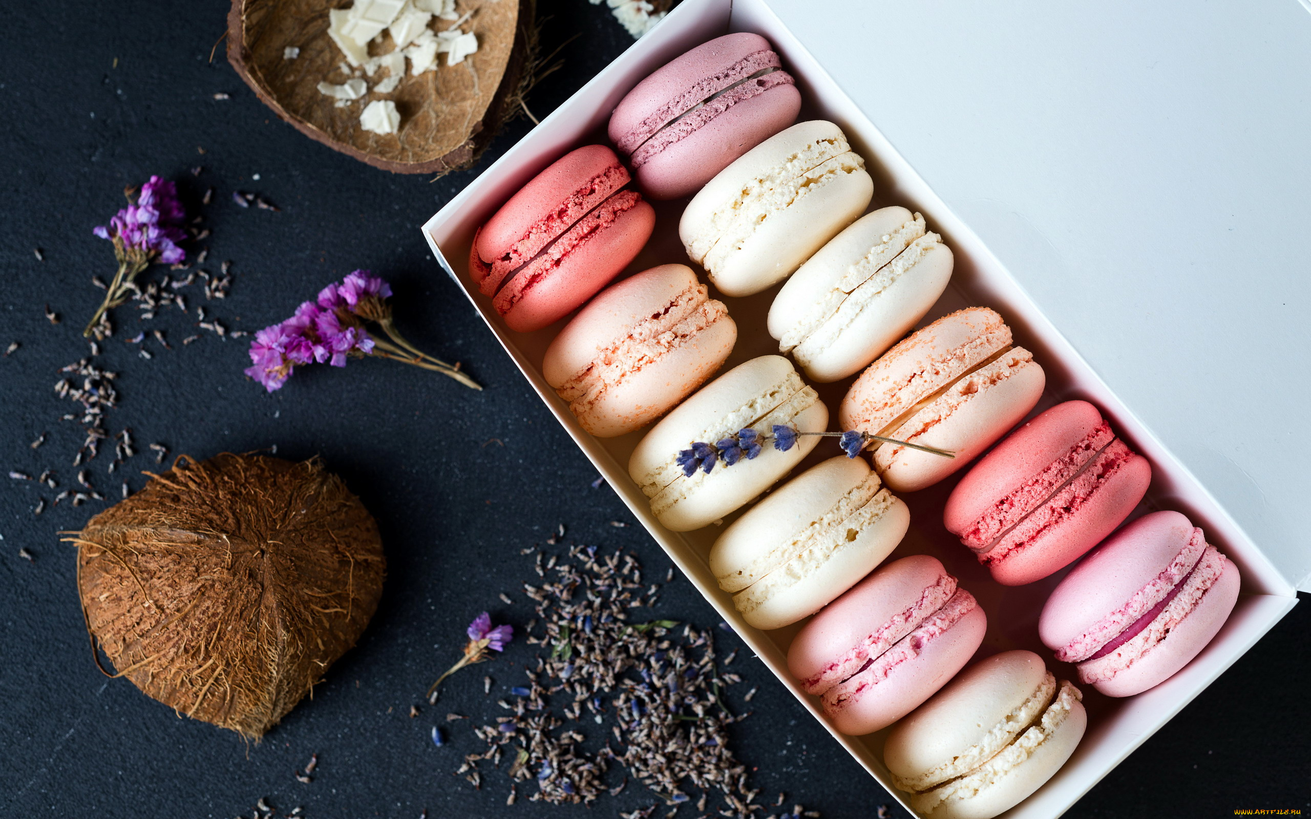 еда, макаруны, печенье, лакомство