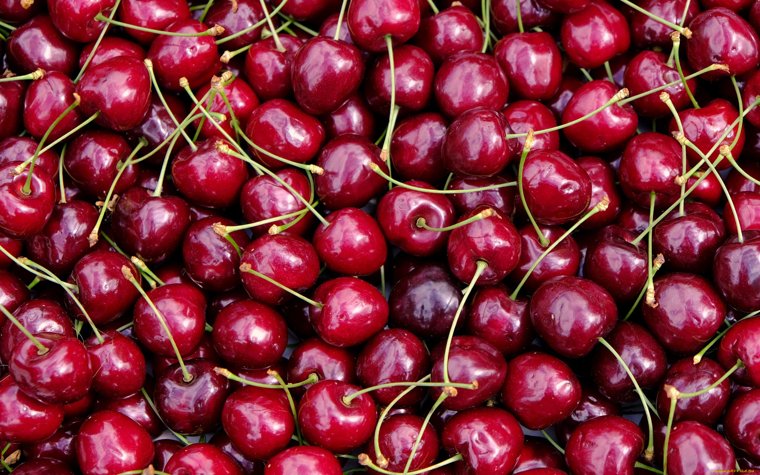 еда, вишня, , черешня, черешня, много