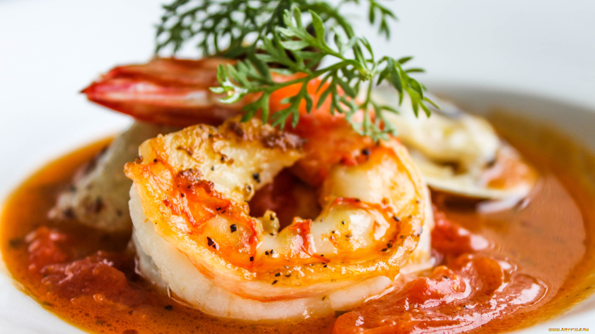 еда, рыбные, блюда, , с, морепродуктами, креветка