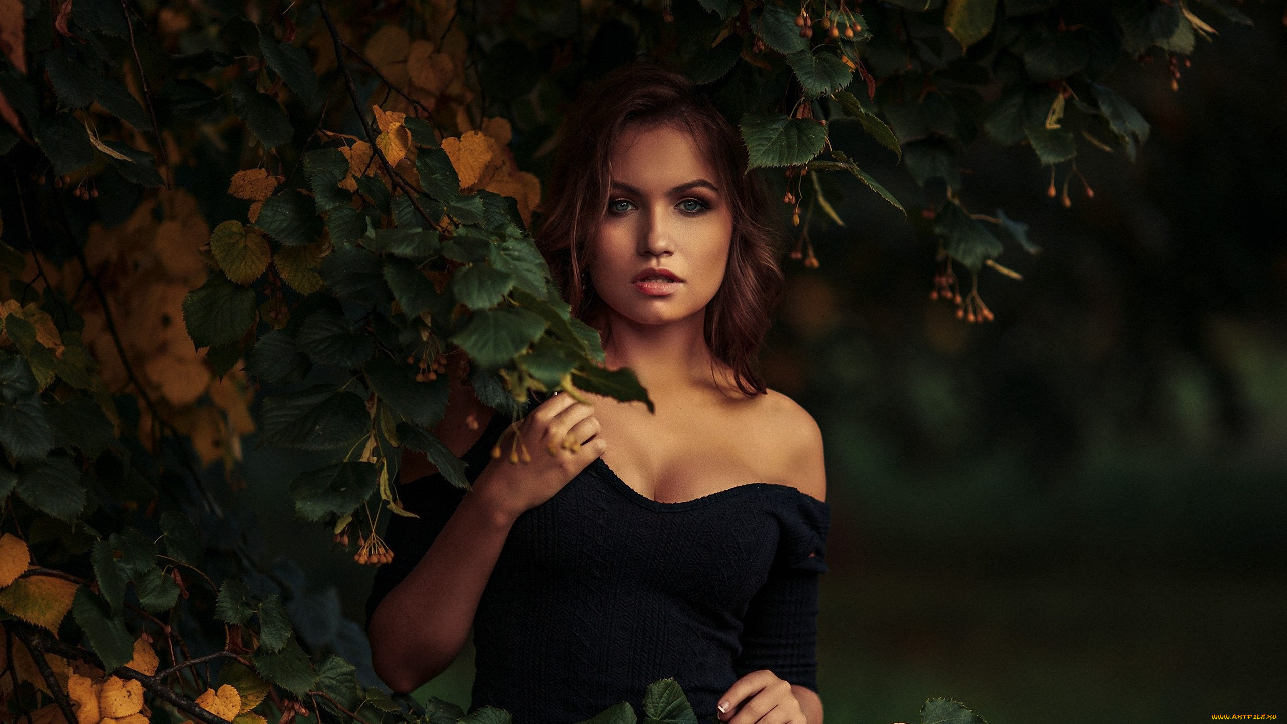 nicole, young, девушки, девушка, брюнетка, сексуальная, милая, модель, красивая, супер, сладкая, лапочка, симпатичная, классная, нежная, идеальная, няша, яркая, игривая, великолепная, обаятельная, жгучая, спокойная, удивительная, nicole, ross, ника, колосова, valeri, christik