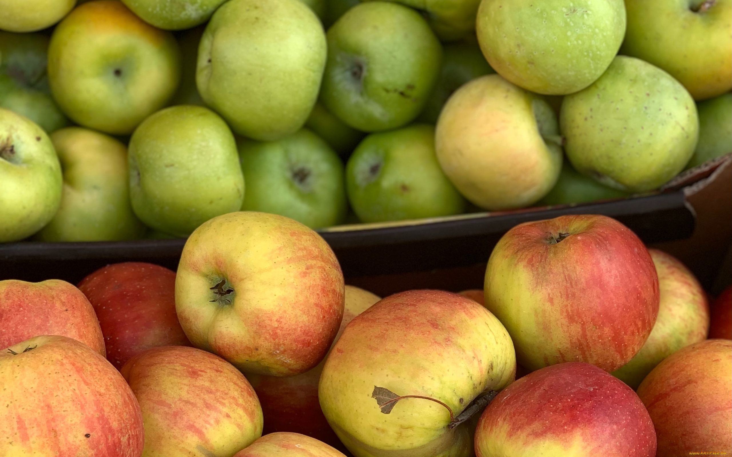 еда, яблоки, урожай, много