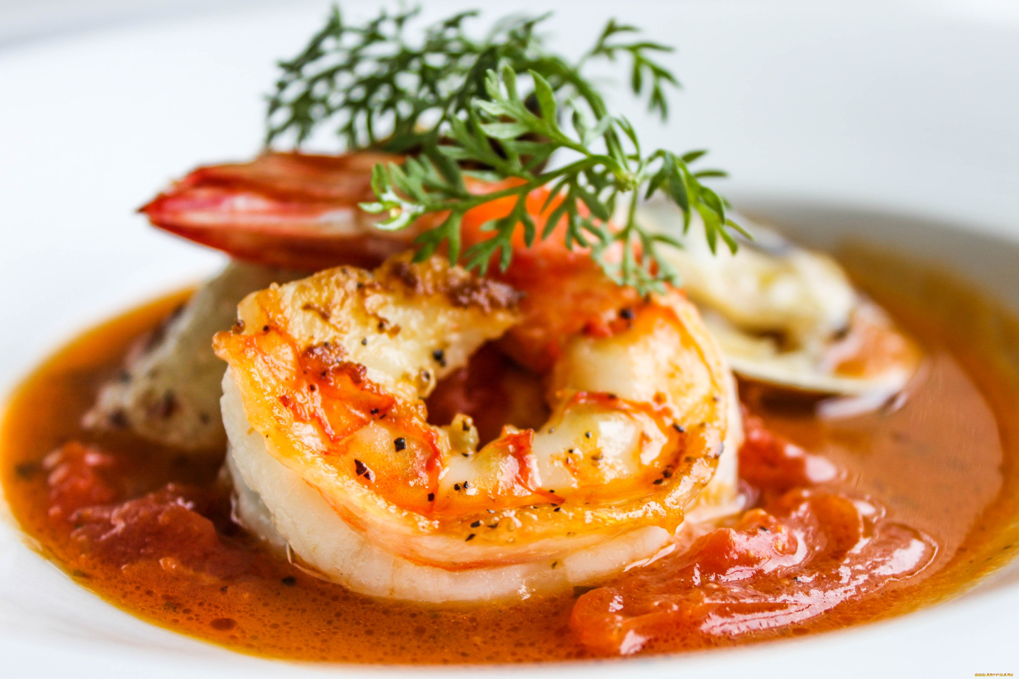 еда, рыбные, блюда, , с, морепродуктами, креветка