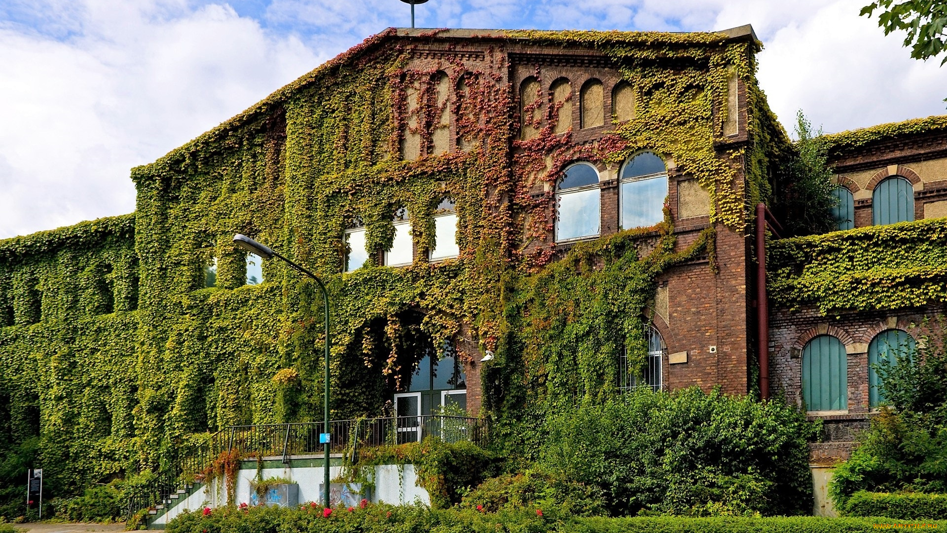 города, -, здания, , дома, дом, плющ