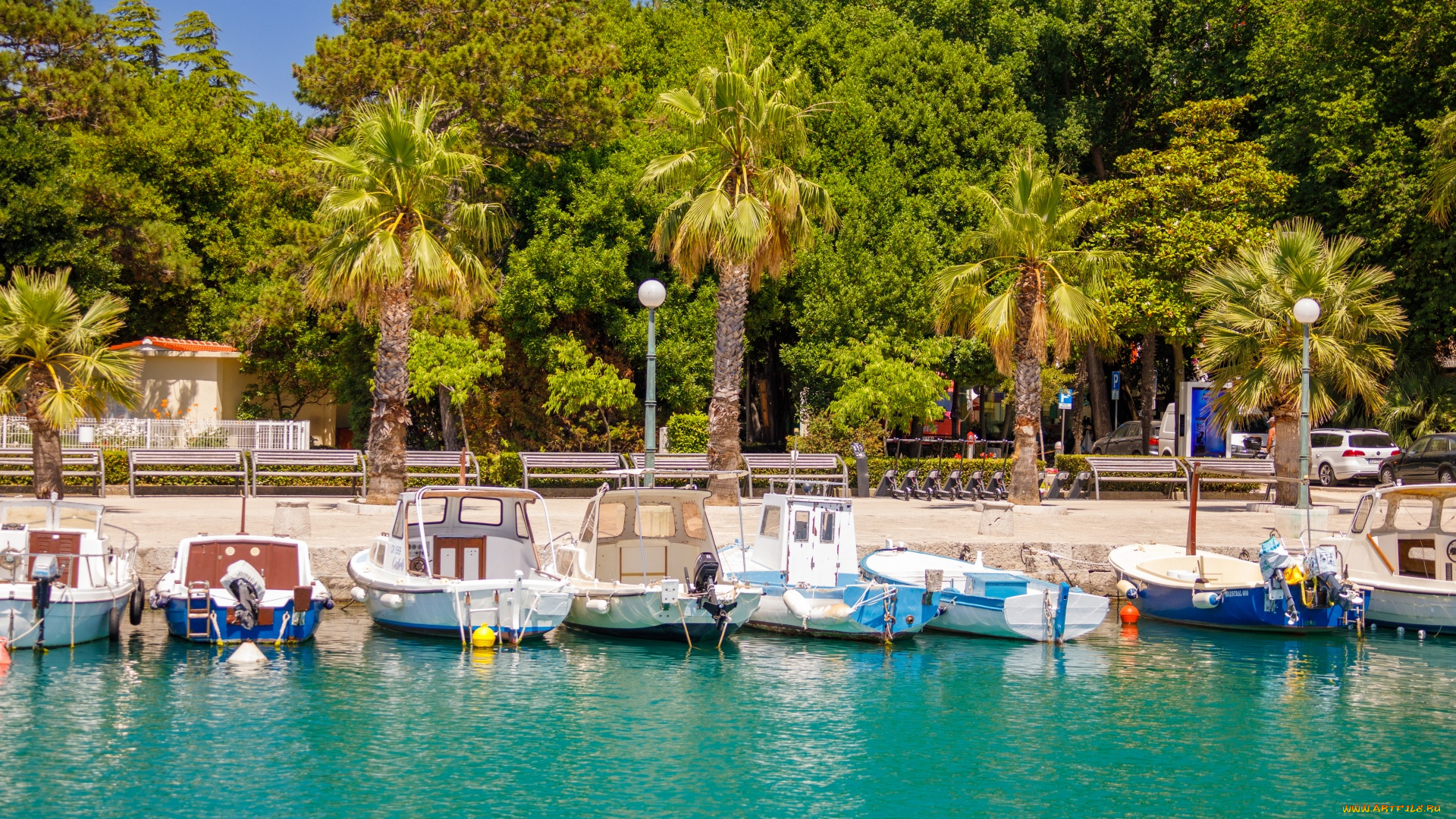 корабли, катера, пальмы, набережная