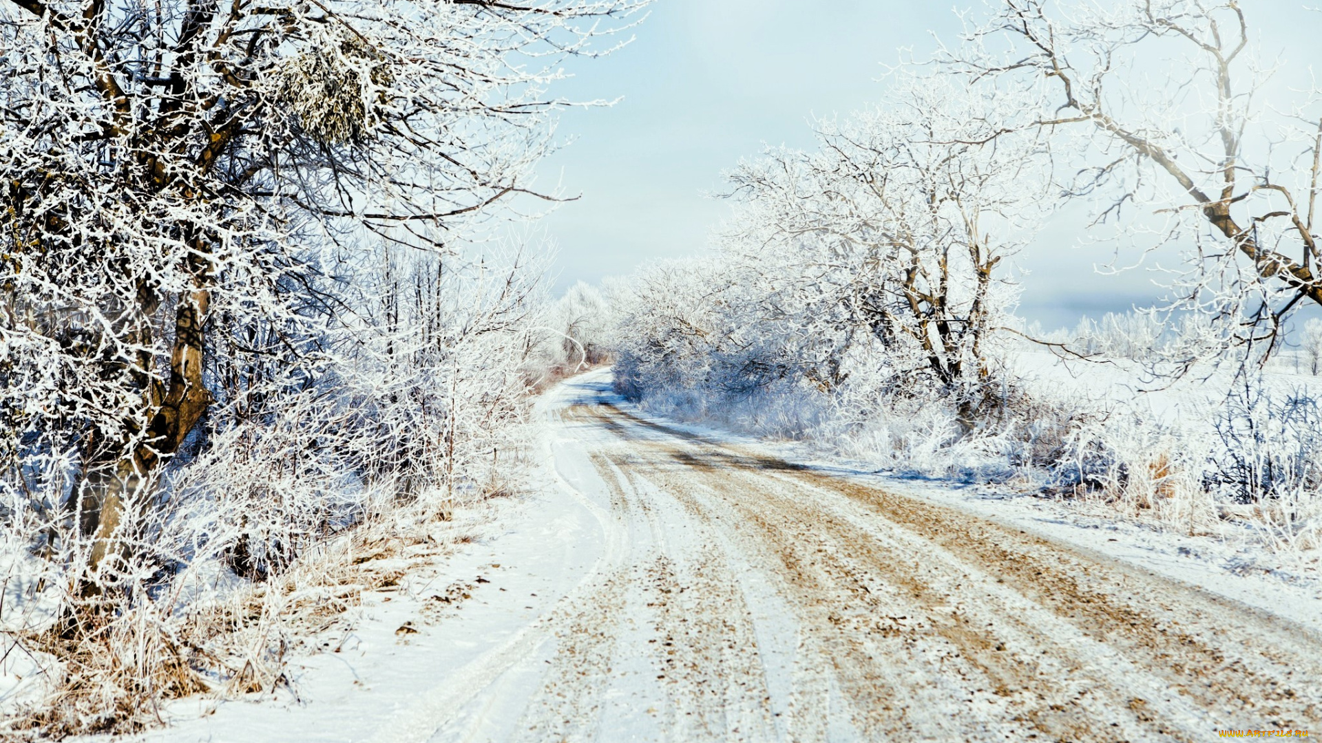 природа, дороги, лес, снег, зима, дорога