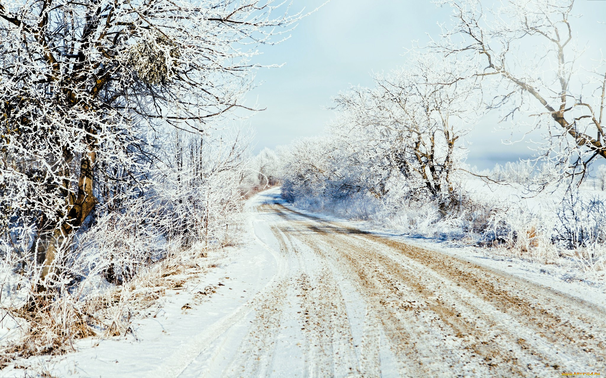 природа, дороги, лес, снег, зима, дорога