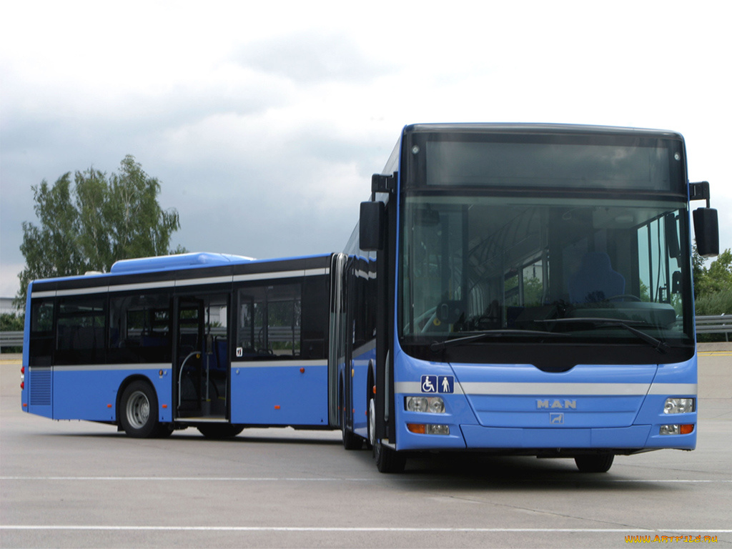 автомобили, автобусы