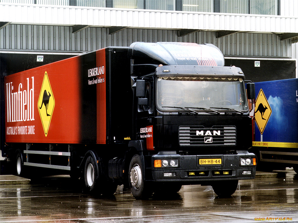 автомобили, man