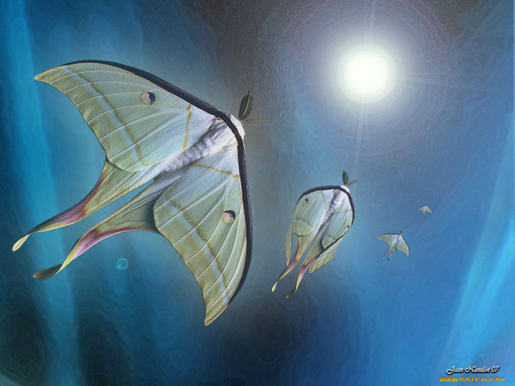 фэнтези, существа