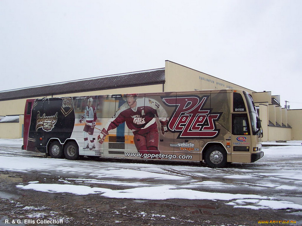 автомобили, автобусы