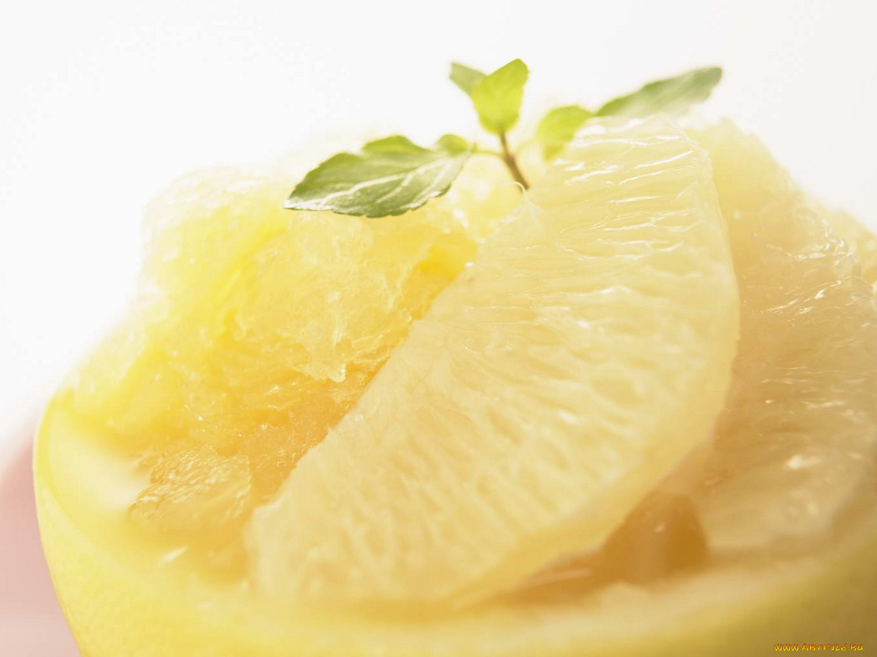 еда, цитрусы