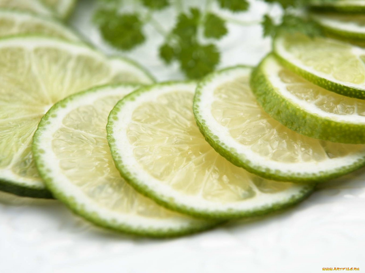 еда, цитрусы