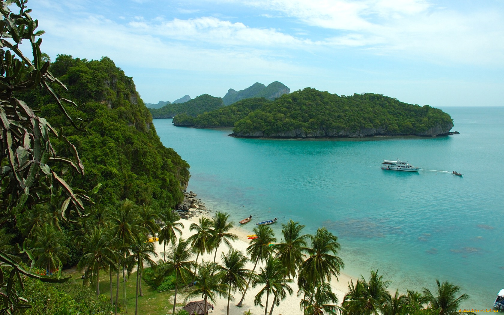 природа, тропики