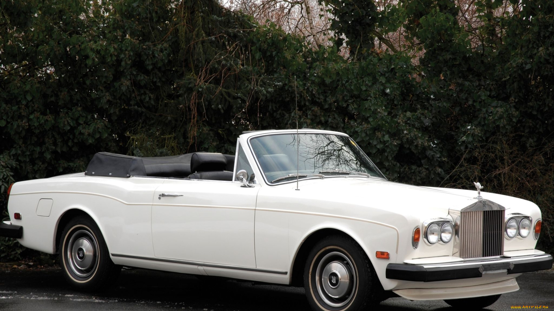 автомобили, rolls, royce