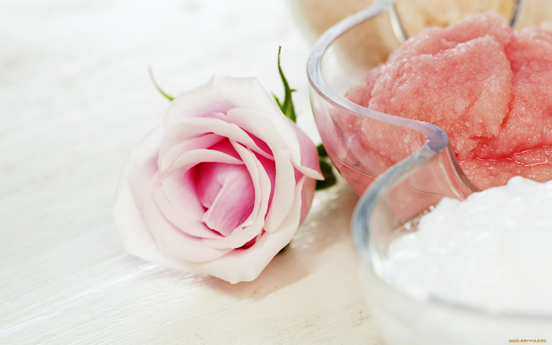 цветы, розы