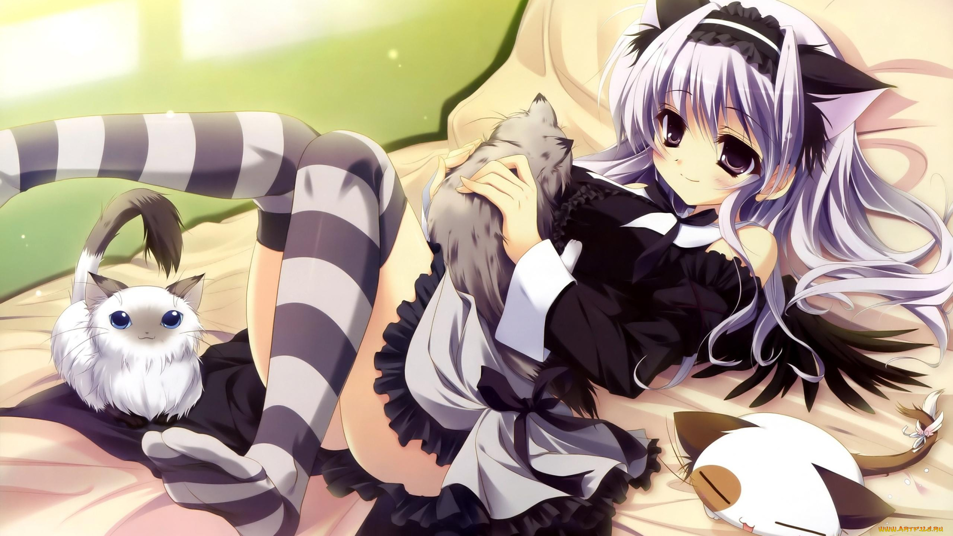 amaha, miu, аниме, mashiro, iro, symphony, mashiroiro