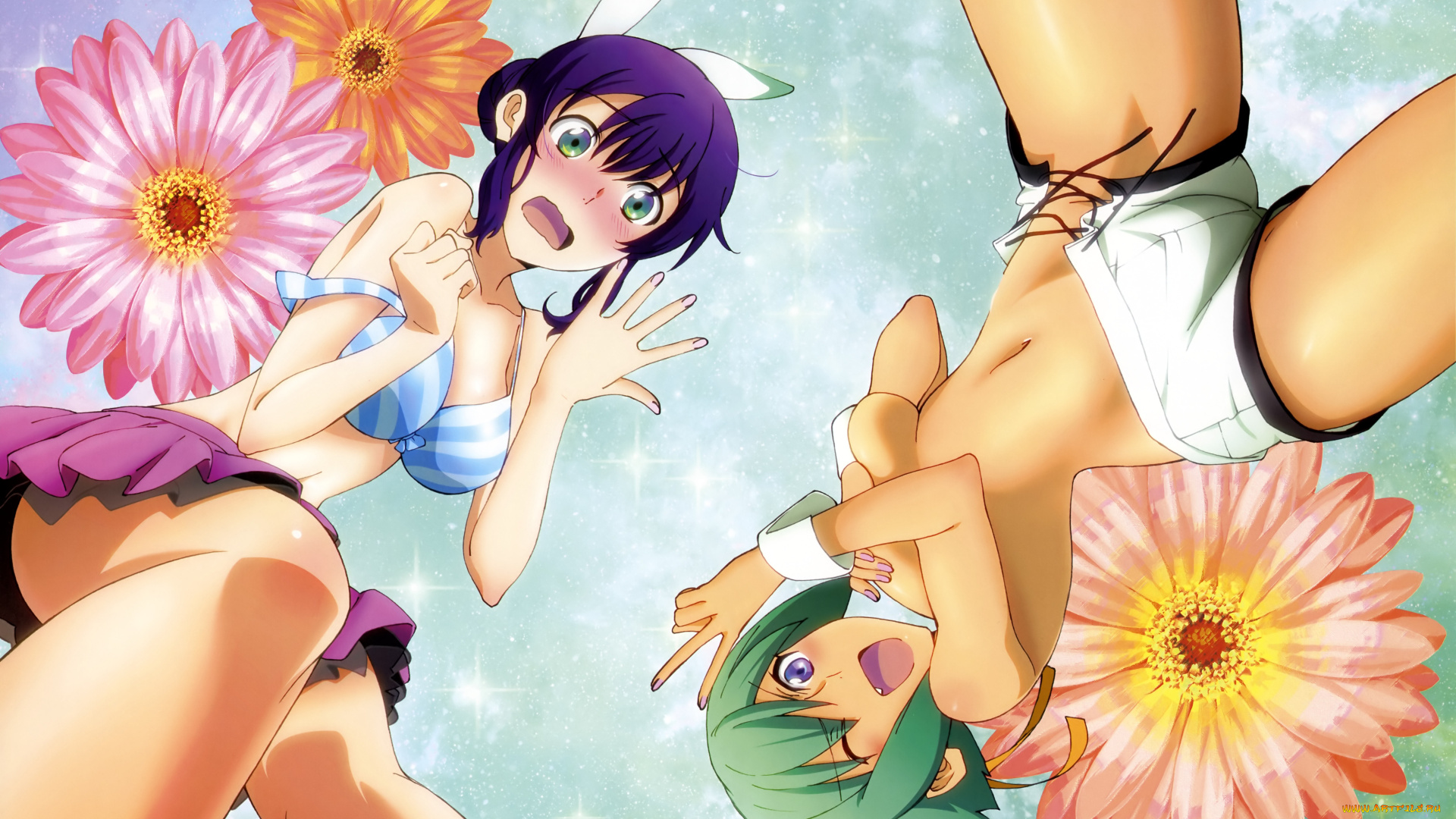 аниме, aquarion, evol