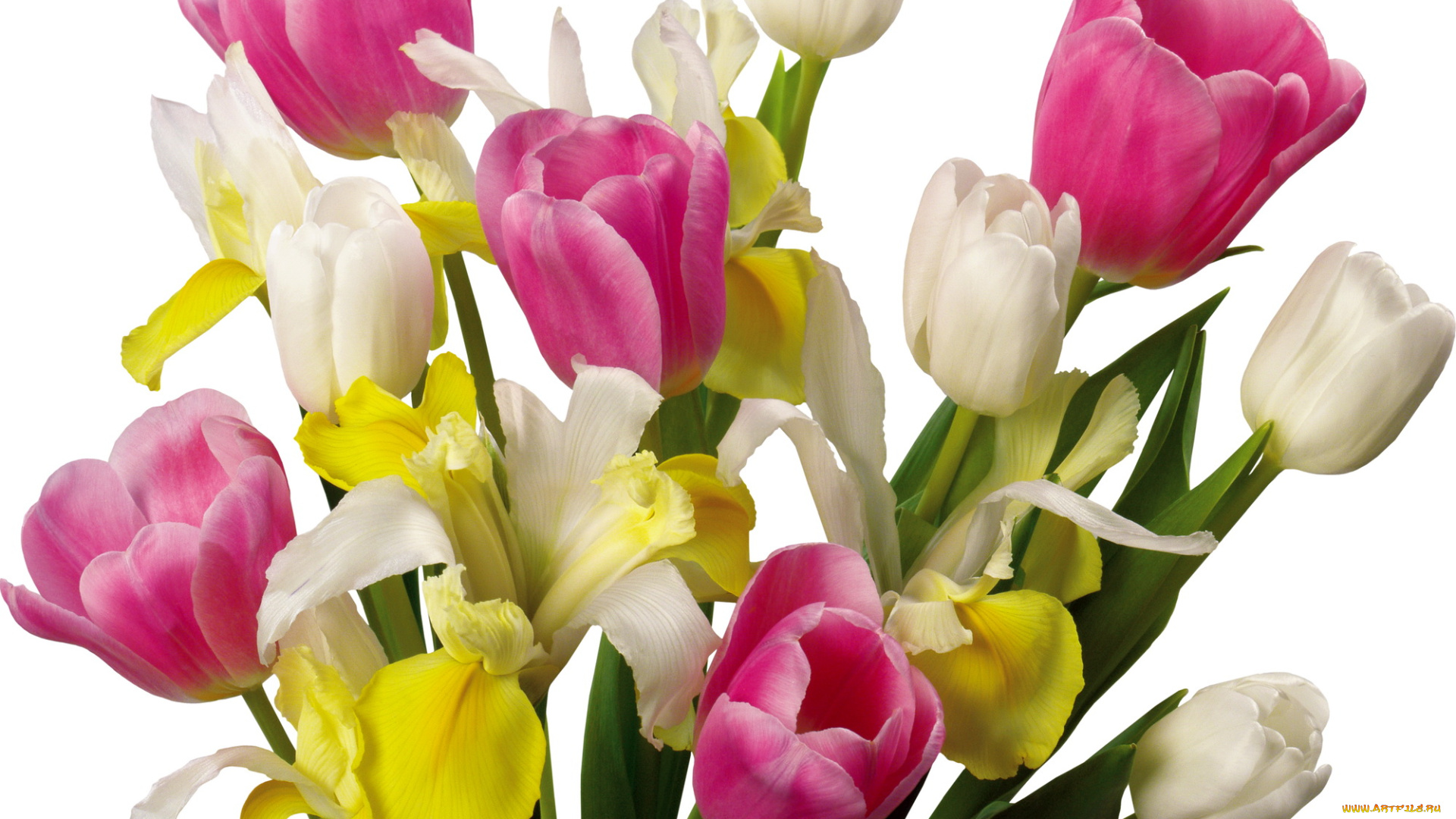 цветы, букеты, композиции, розовый, белый, желтый