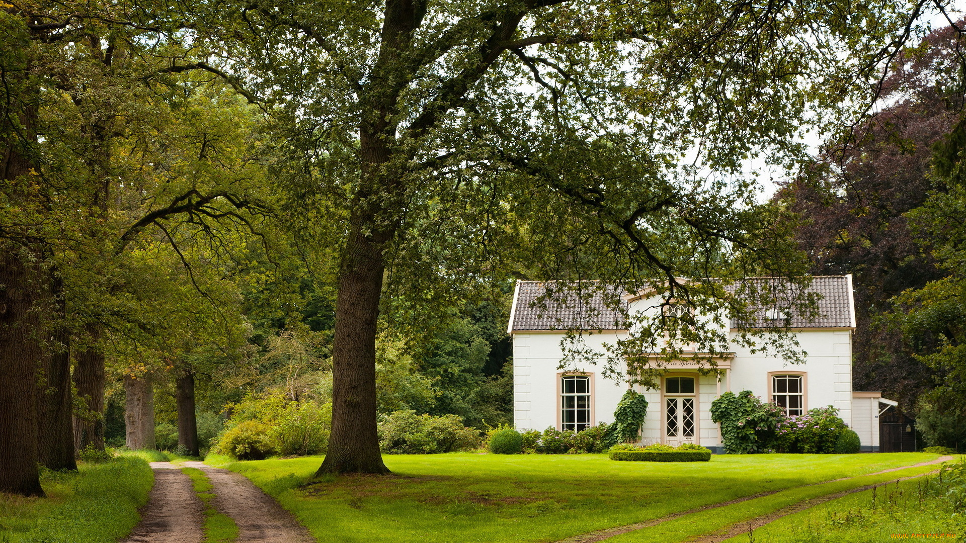 города, здания, дома, дом, дорога, деревья