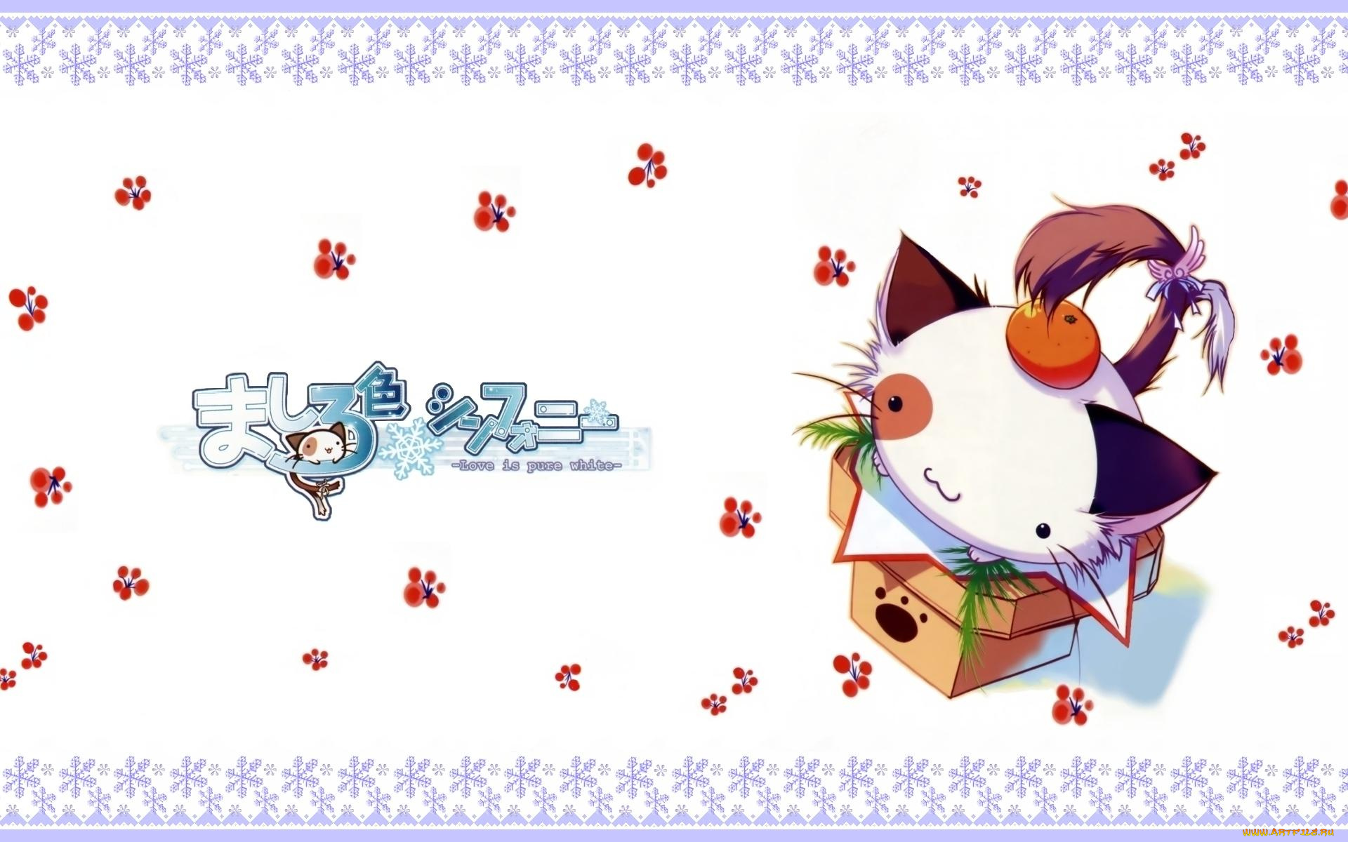 pannya, аниме, mashiro, iro, symphony, mashiroiro