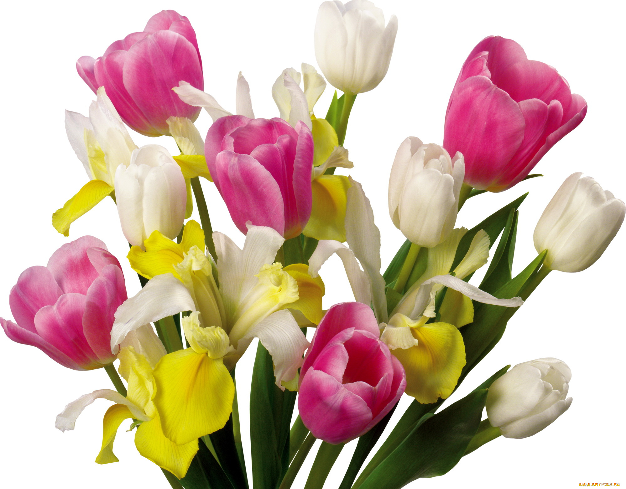 цветы, букеты, композиции, розовый, белый, желтый