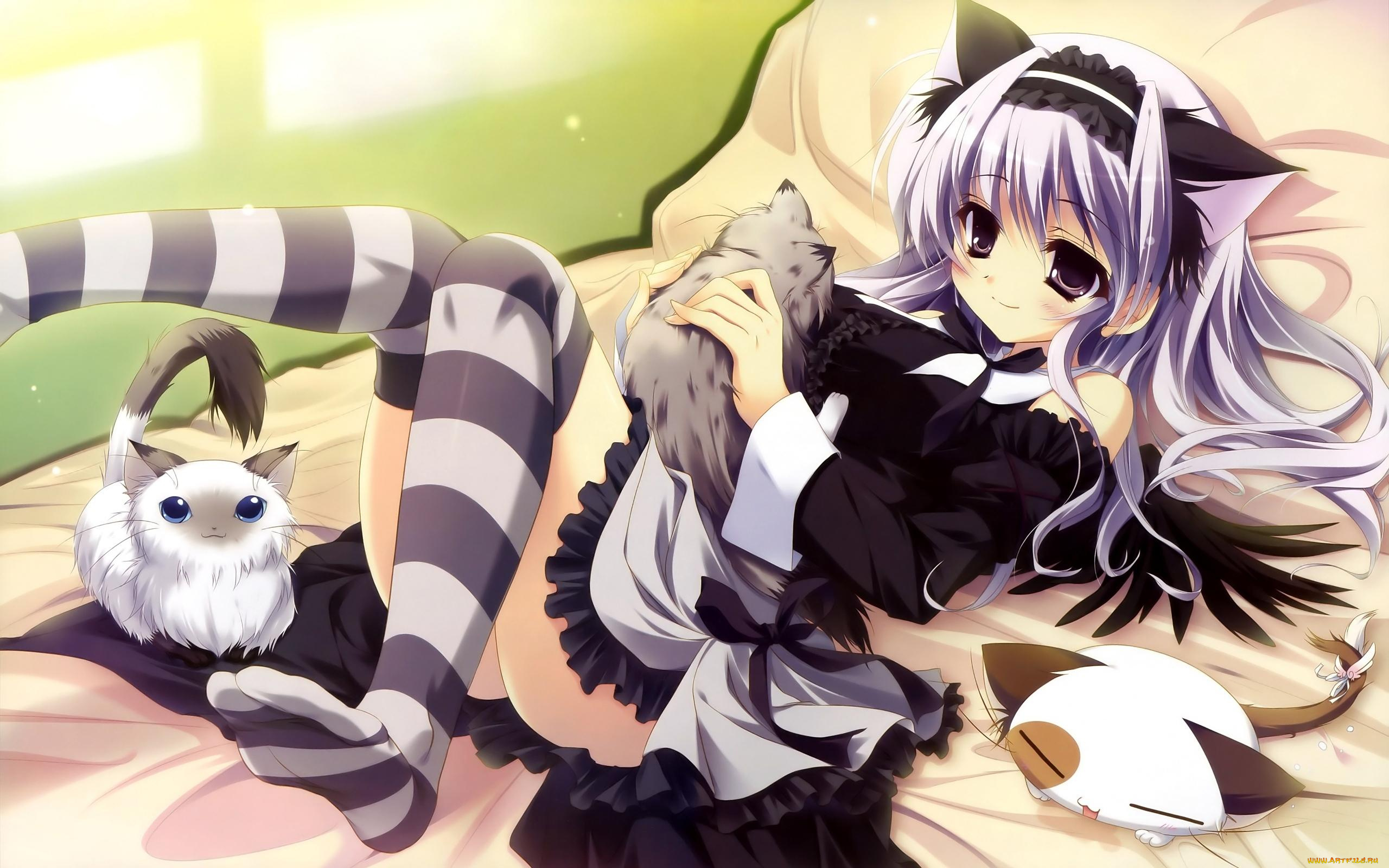 amaha, miu, аниме, mashiro, iro, symphony, mashiroiro