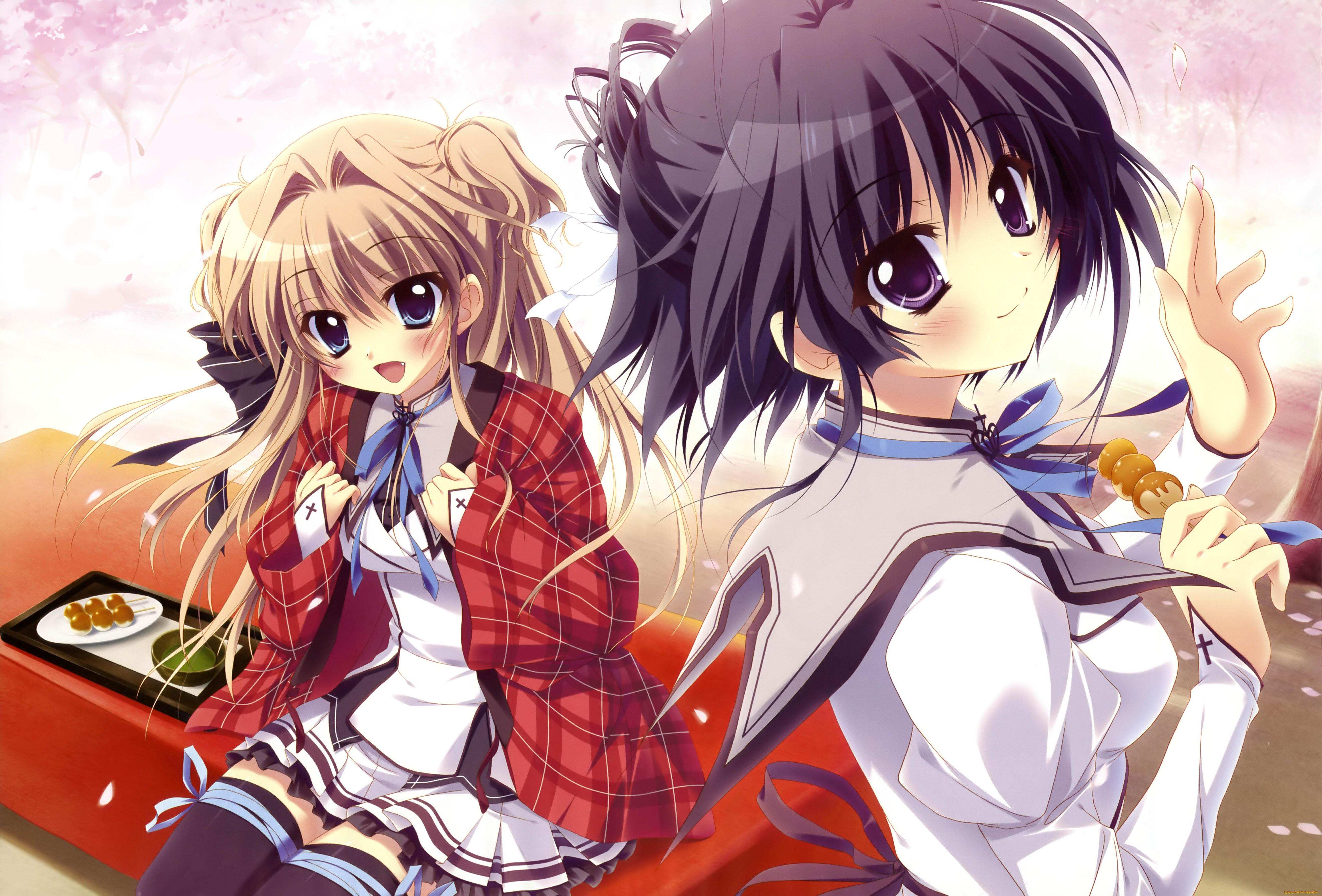 mashiroiro, symphony, аниме, mashiro, iro, sena, airi, onomiya, yutsuki