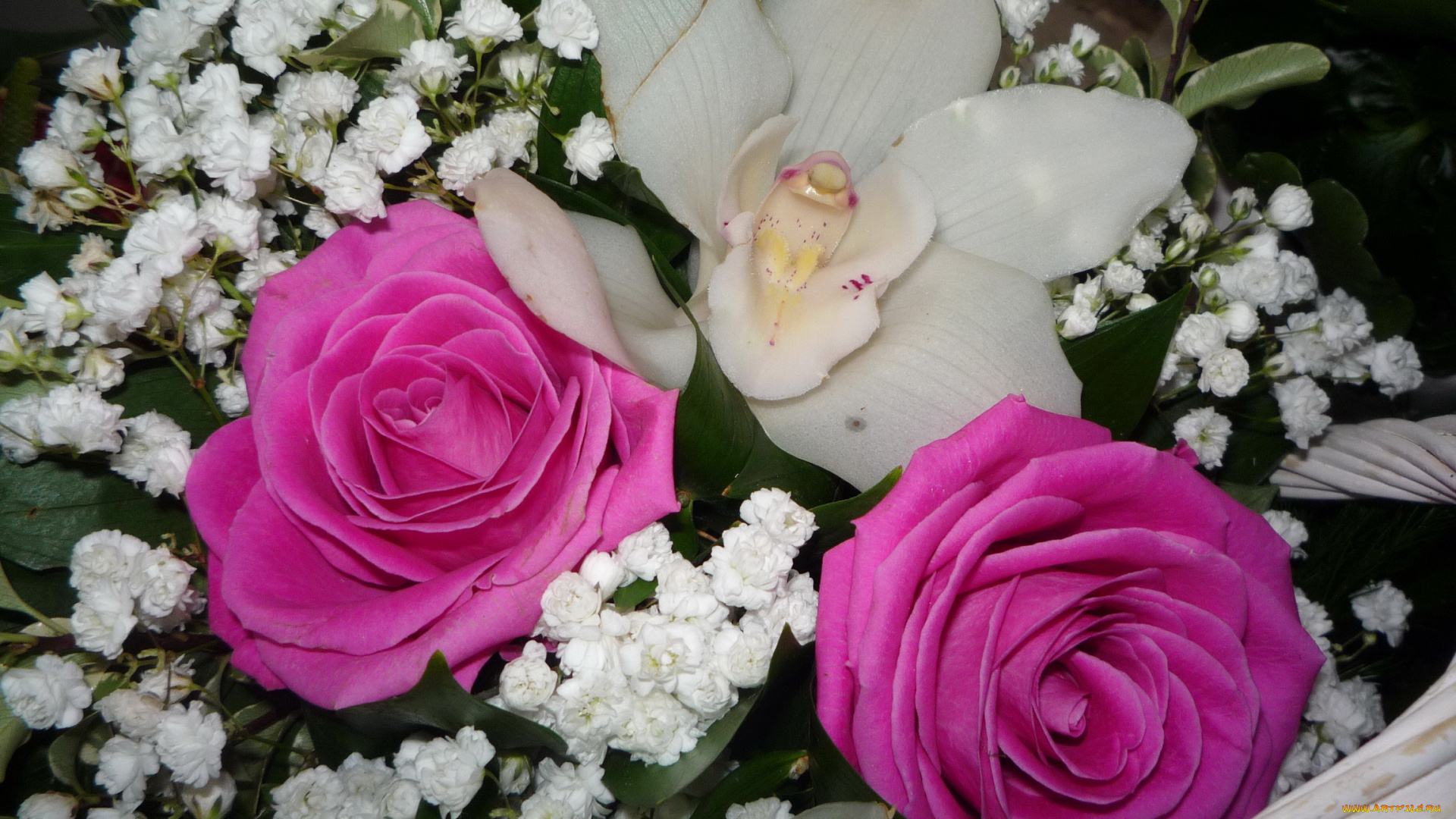 цветы, букеты, композиции, букет, розы, орхидеи