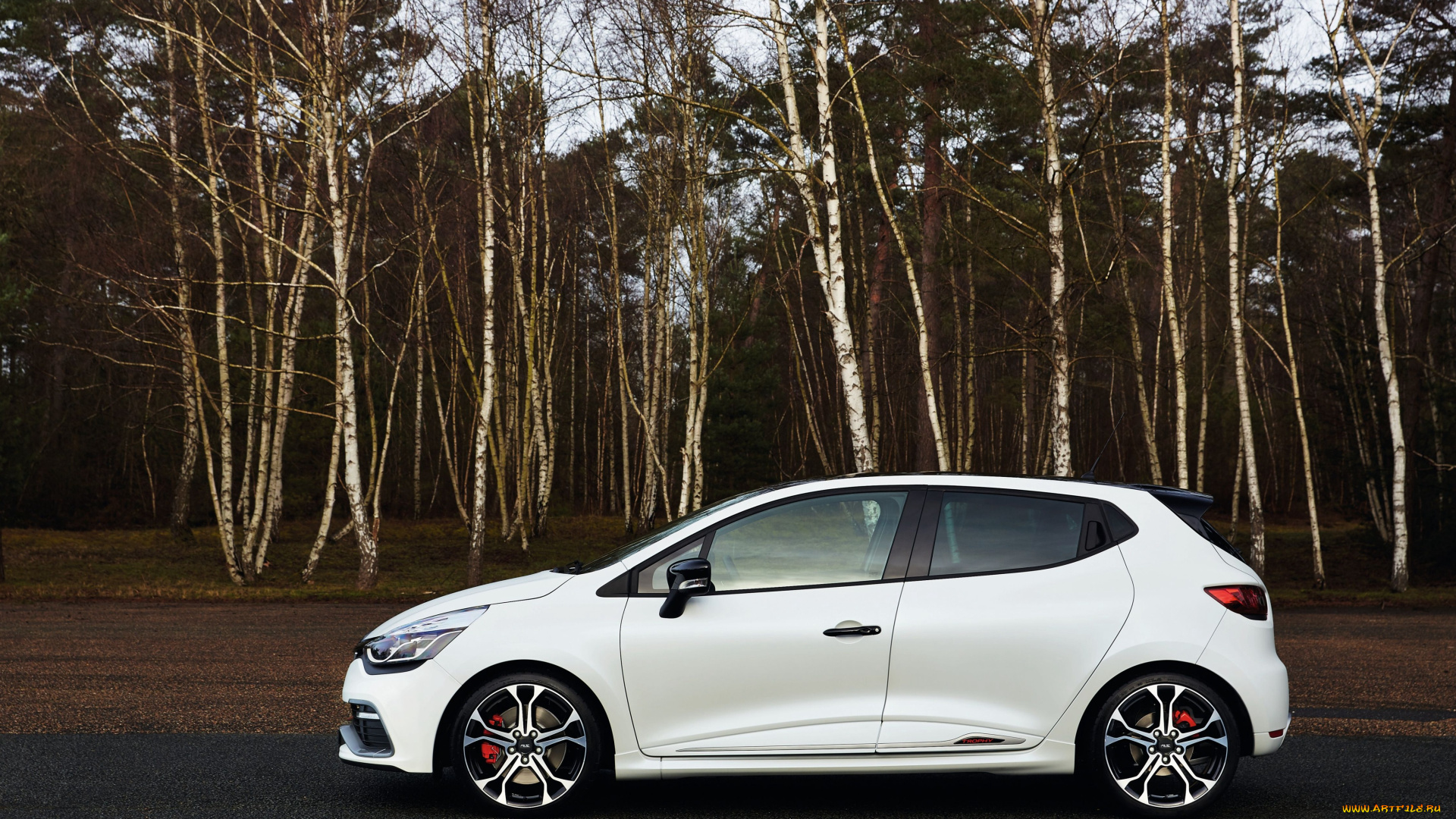 автомобили, renault, trophy, rs, 220, clio, светлый, 2015г