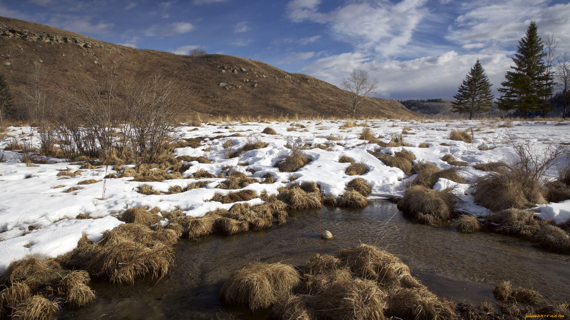 природа, пейзажи, пейзаж, снег, деревья, кочки, ручей, холмы, небо