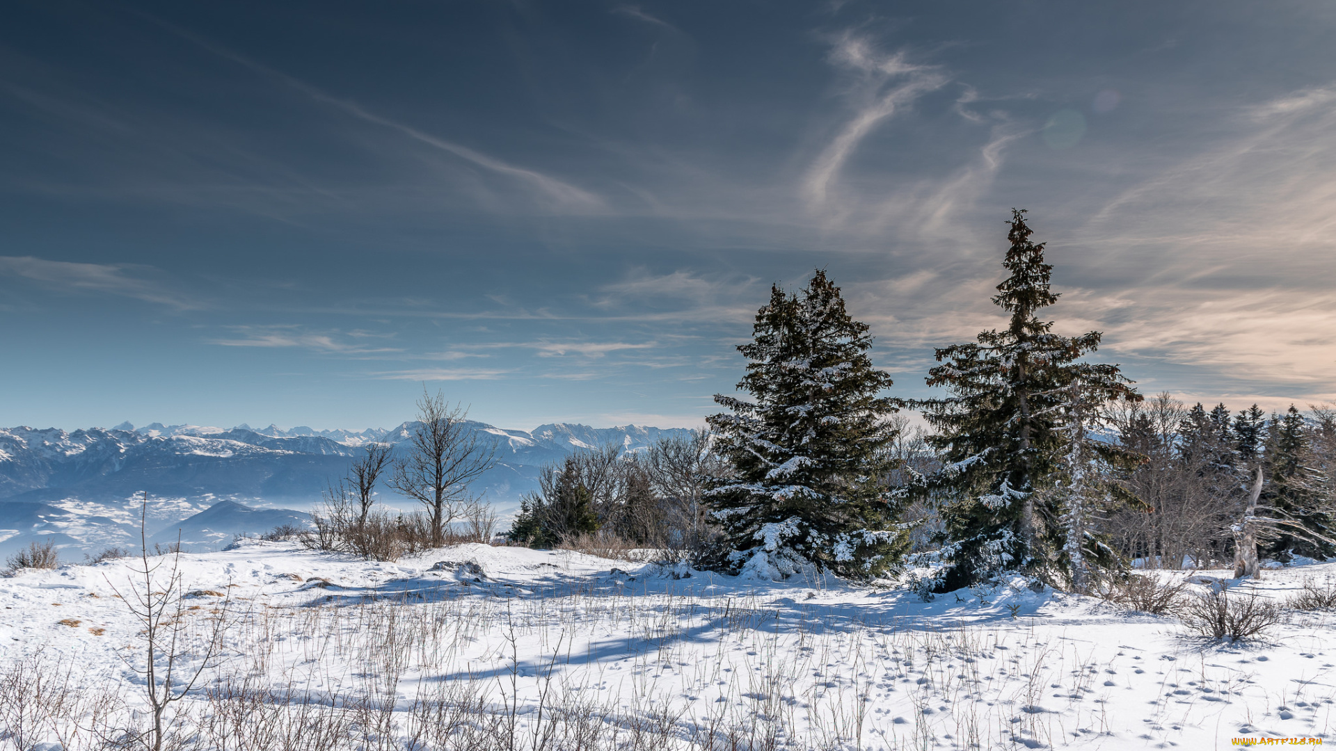 природа, зима, поле