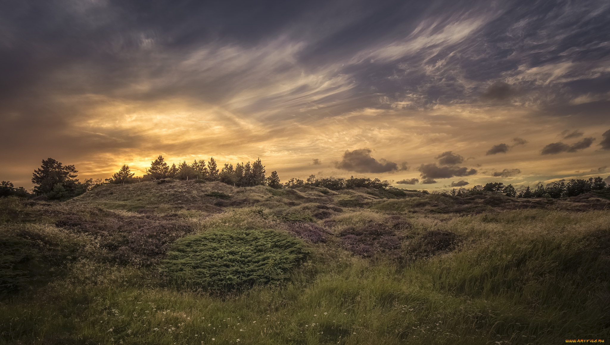 природа, пейзажи, простор