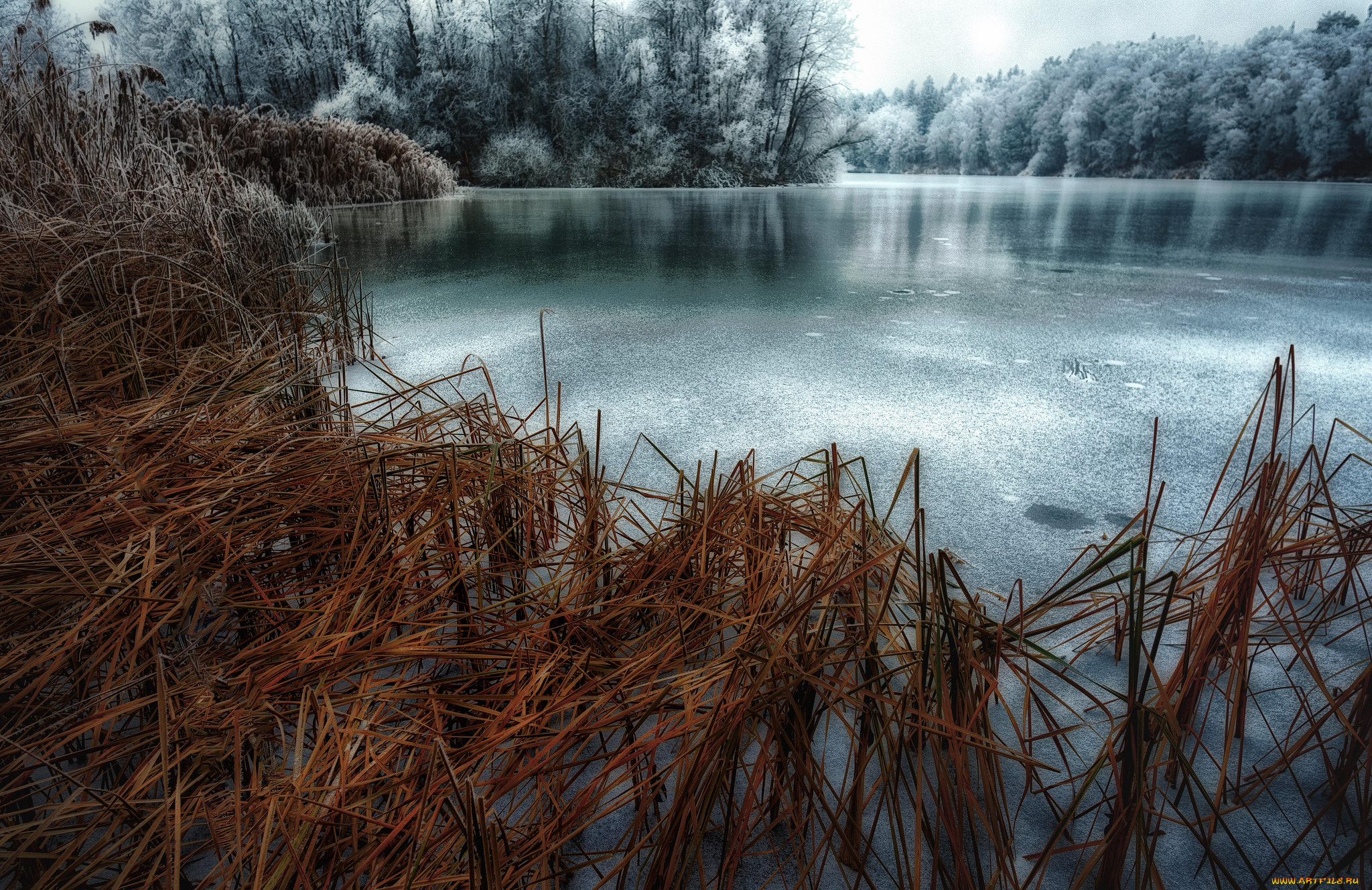 природа, реки, озера, лес, река