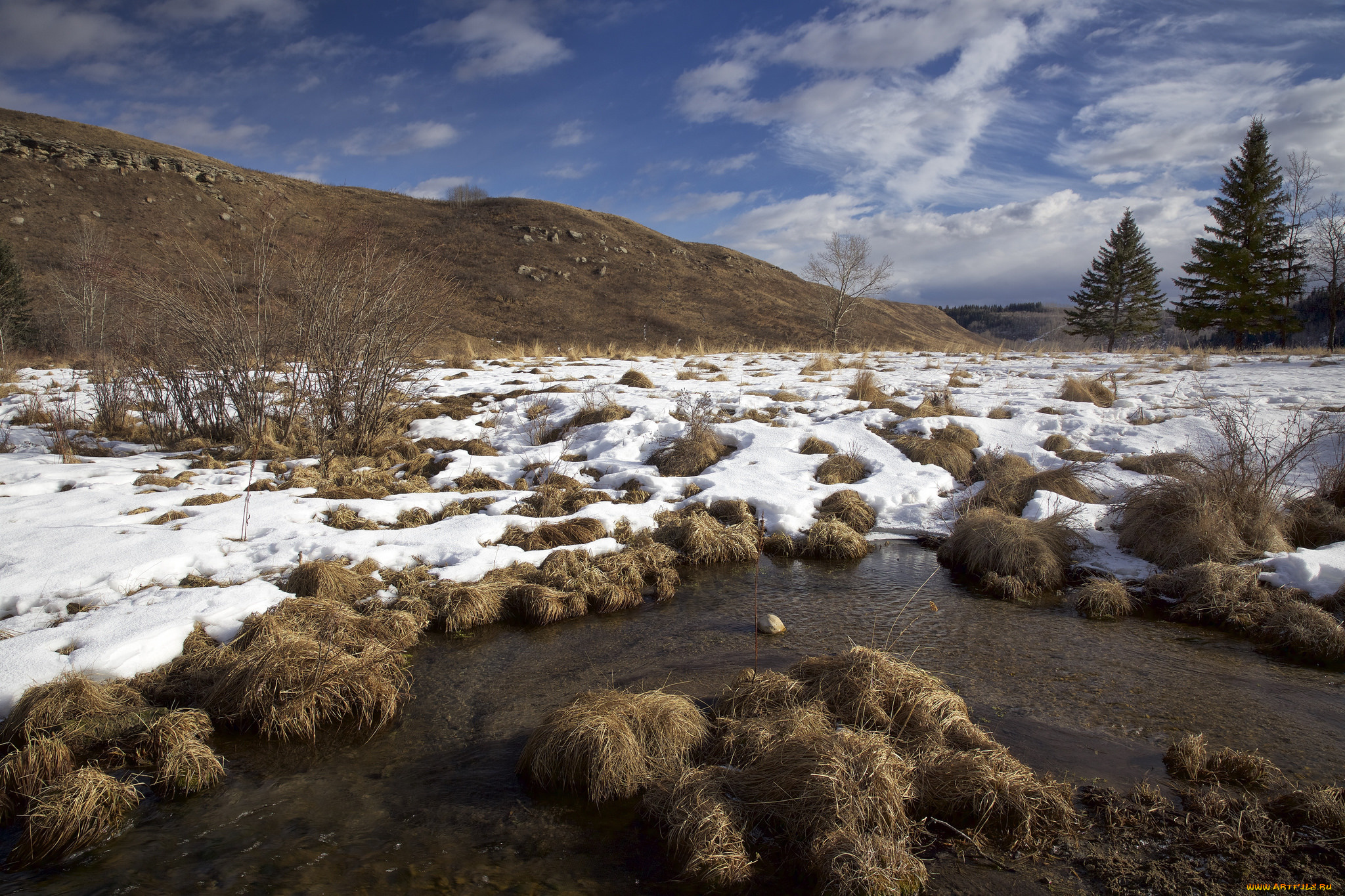 природа, пейзажи, пейзаж, снег, деревья, кочки, ручей, холмы, небо