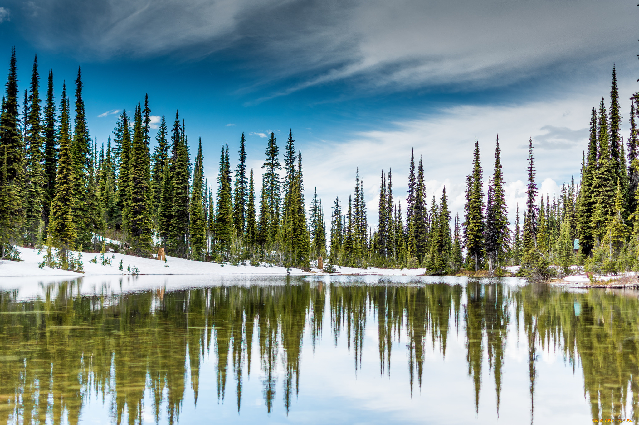 природа, реки, озера, лес, река